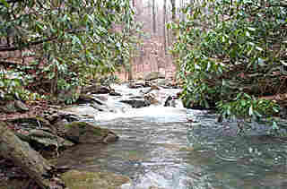 Limestone Creek Crossing