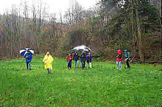 Crossing The Meadow