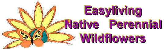 Click here to visit the Easyliving Wildflowers  Website.