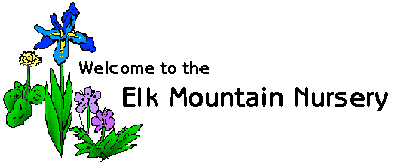 Visit Elk Mountain