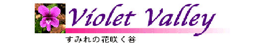 Click here to visit the Violet Valley Site (In Japanese)