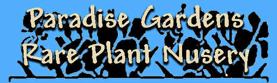 Click here to visit the Paradise Gardens  Website.