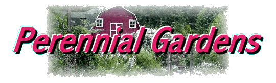 Click here to visite the Perennial Gardens'  Website.