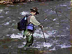 Mr. Sherwin Crossing Dunbar Creek