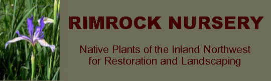 Visit Rimrock Nursery