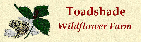 Link To Toadshade Wildflower Farm