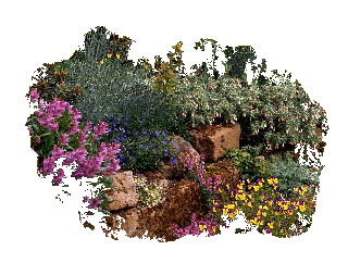 Summer Garden Image