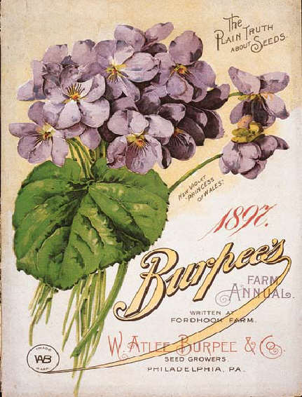 Image of 1897 Burpee Seed Catalog